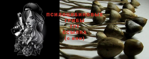 СК Алексин