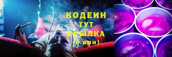 прущий лед Алзамай