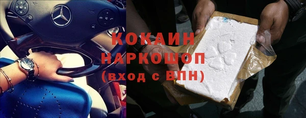 прущий лед Алзамай