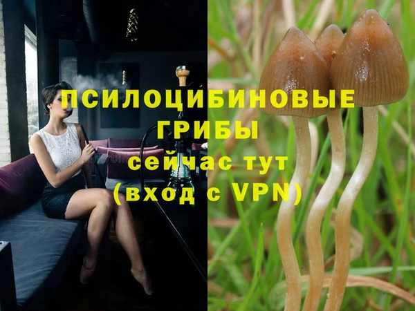 эйфоретик Абдулино