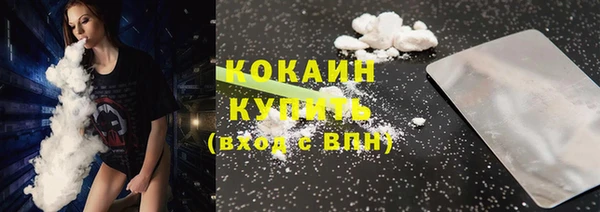 прущий лед Алзамай