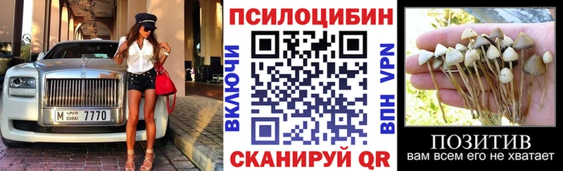 продажа наркотиков  Кировград  Псилоцибиновые грибы GOLDEN TEACHER 